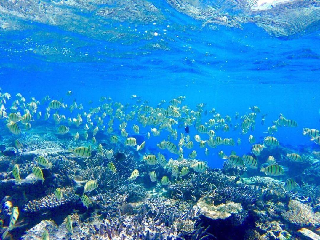 Korovou Eco Lodge Naviti Island Zewnętrze zdjęcie